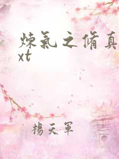 炼气之修真者txt