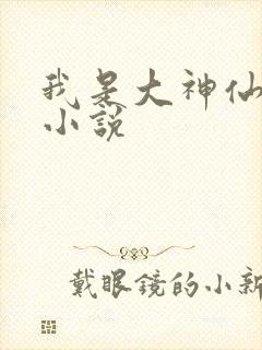 我是大神仙时江小说