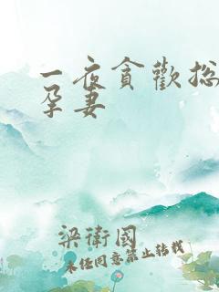 一夜贪欢总裁幸孕妻