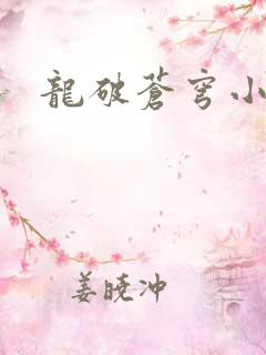 龙破苍穹小说