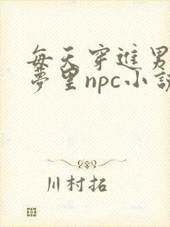 每天穿进男神的梦里npc小说txt