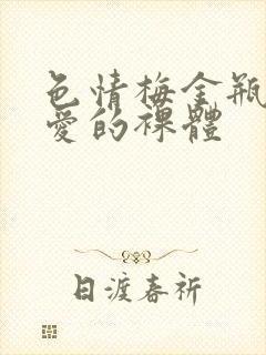 色情梅金瓶2之爱的裸体