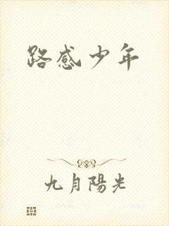路感少年