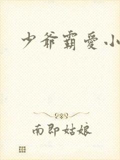 少爷霸爱小丫头