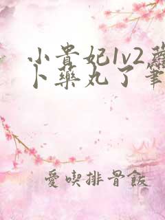 小贵妃1v2萝卜药丸了笔趣阁