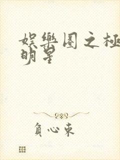 娱乐圈之极品大明星