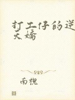 打工仔的逆袭楚天娇