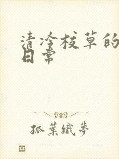 清冷校草的抹布日常