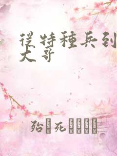 从特种兵到黑道大哥