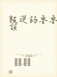 叛逆的鲁鲁修小说