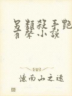 另类杀手艳福星有声小说