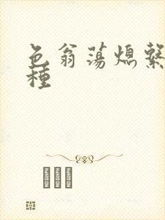 色翁荡熄系列借种