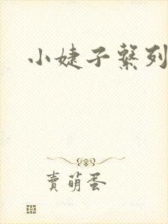 小婕子系列小说
