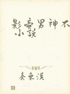 影帝男神不节制 小说