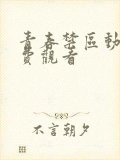 青春禁区动漫免费观看