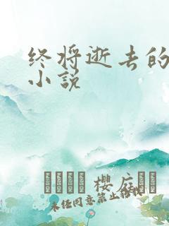 终将逝去的青春小说