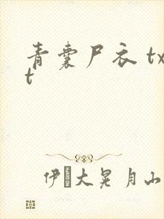 青囊尸衣 txt