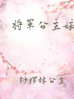 将军公主嫁到