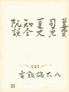 阮知夏司暮寒小说全文免费