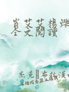 肖艾艾杨烁小说全文阅读