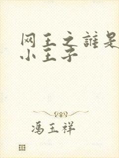 网王之谁是我的小王子