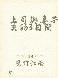 上司与妻子干到爽的3日间