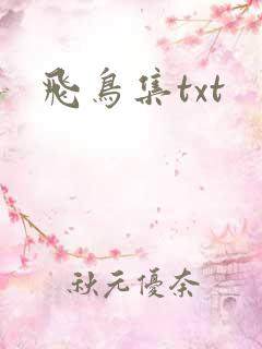 飞鸟集txt