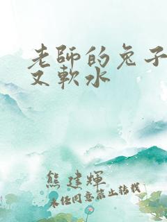 老师的兔子又大又软水