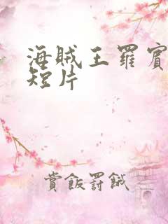 海贼王罗宾被h短片