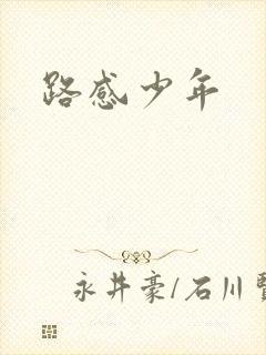 路感少年