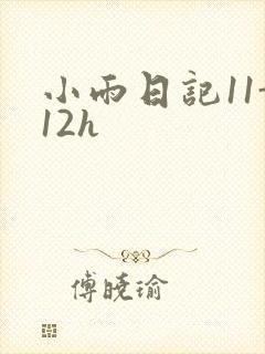 小雨日记11-12h