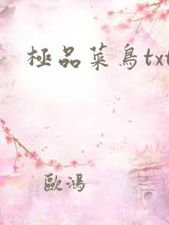 极品菜鸟txt