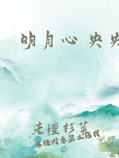 明月心 央央