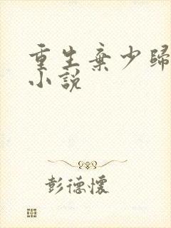 重生弃少归来 小说