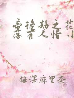 帝后劫之花开花落有人惜 小说