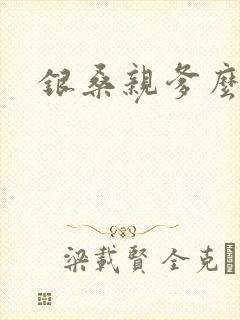 银桑亲爹么么哒