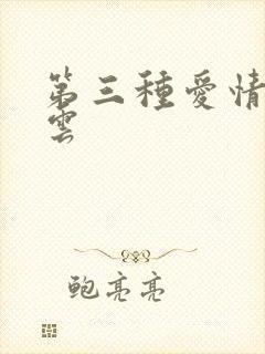第三种爱情百度云