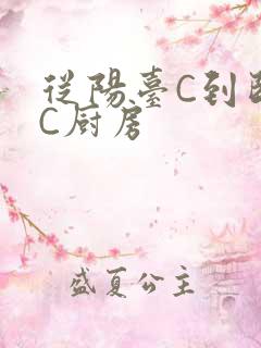 从阳台C到卧室C厨房