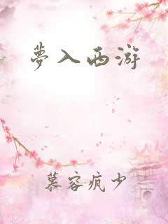梦入西游