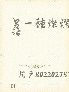 另一种灿烂的生活