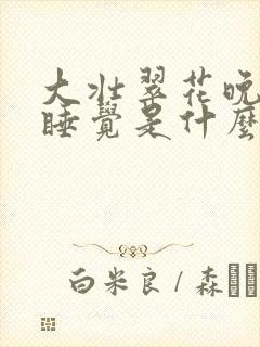 大壮翠花晚上不睡觉是什么电视剧