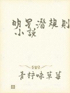 明星潜规则之皇 小说