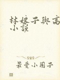 林娘子与高衙内小说