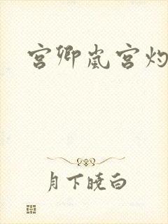 宫卿岚宫灼小说