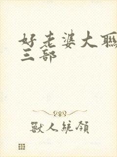 好老婆大联盟第三部