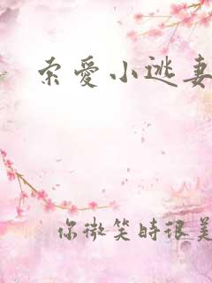 索爱小逃妻