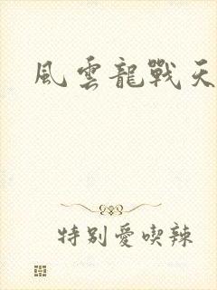 风云龙战天下