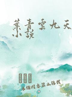 叶青云九天玄宗小说