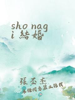 sho nagi 结婚