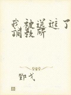 我被送进了私奴调教所